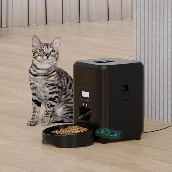 https://ae01.alicdn.com/kf/S645e54ddcad34447bdf6896715bf1b3cI/Smart-Pet-Feeder-Automatic-Cat-Feeder-Dog-Slow-Food-Machine-With-Timed-Quantitative-Automatic-Cat-Food.jpg